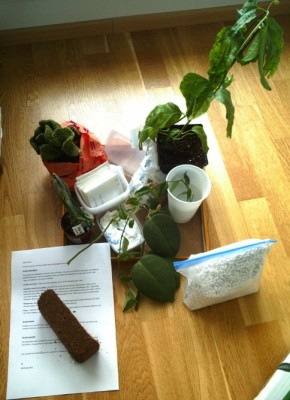 Bild 14.jpg