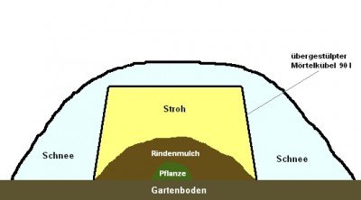 schutz.jpg