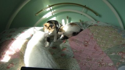 IMG_1215.JPG