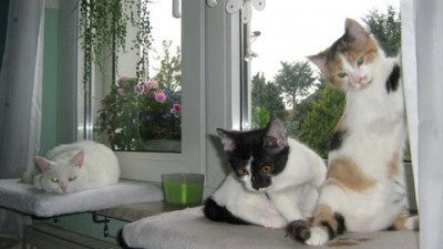 IMG_1189.JPG