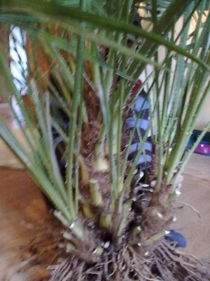 03122010122.jpg