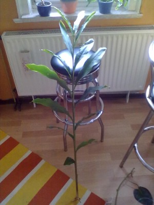 03122010124.jpg