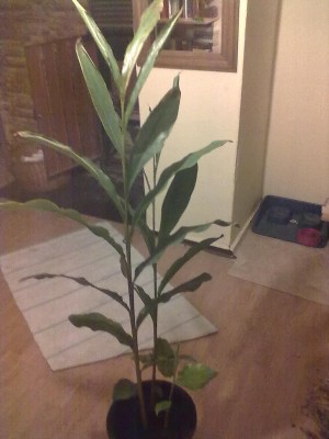 03122010126.jpg