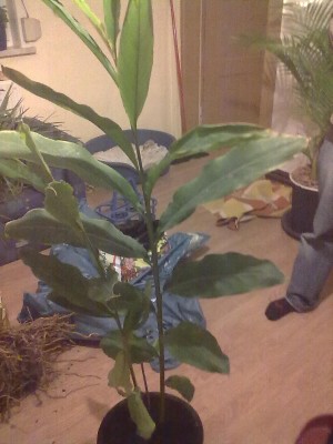 03122010127.jpg