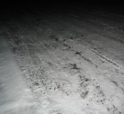 20101203_0001_3.JPG
