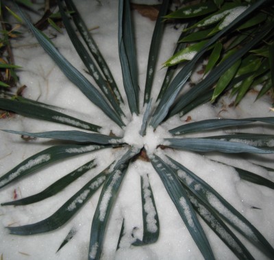 20101203_0001_1.JPG