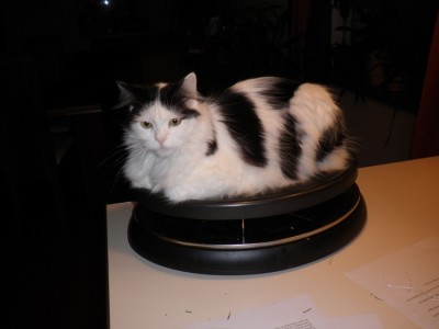 mira raclette.jpg