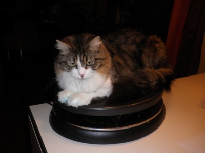 elvis raclette.jpg
