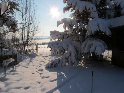 unser Garten im Winter.JPG