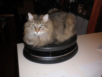 carlos raclette.jpg