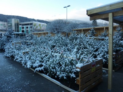 Christbaum Verkauf.jpg