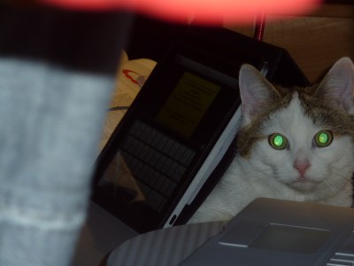 Baghiras Versteck.jpg