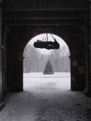 IMG_5378.JPG