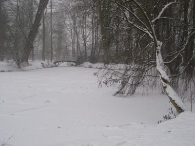 IMG_5373.JPG