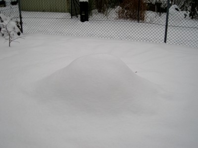 IMG_4442.JPG