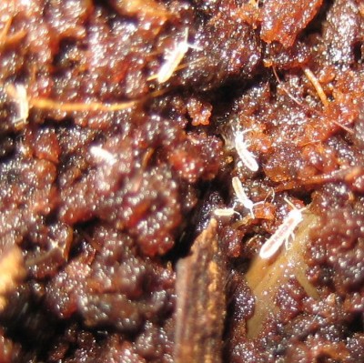 20100302_0001_5.JPG