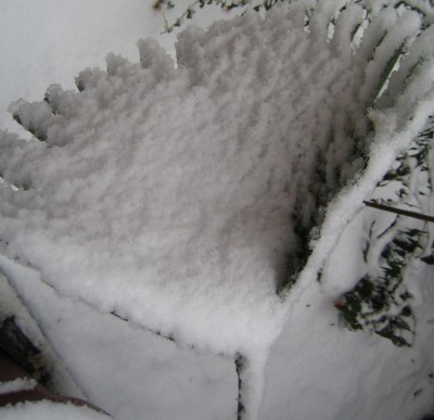 20101205_0001_3.JPG