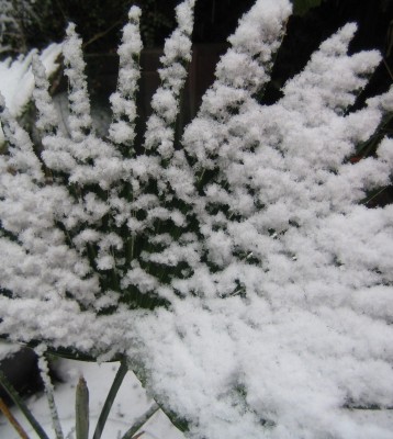 20101205_0001_5.JPG