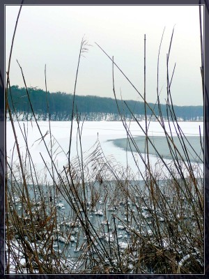 2010-12-07 050green.jpg