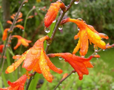 P1010035_01.jpg