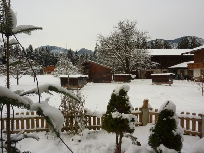 Bienenhaus im Schnee Teil.jpg