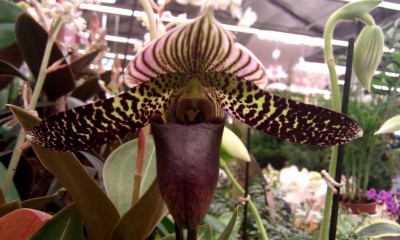 IMAG0197.jpg