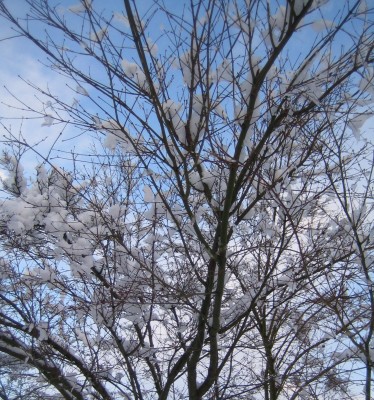 20101206_0001_6.JPG