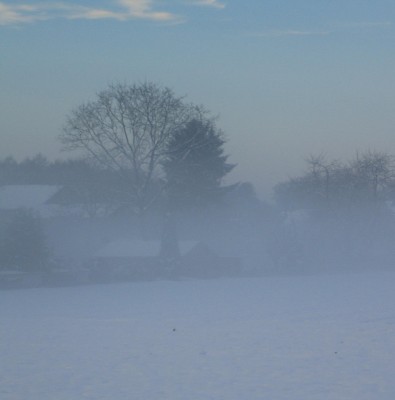 20101206_0001_3.JPG