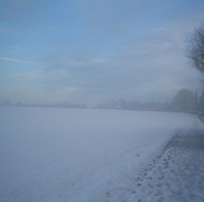 20101206_0001_1.JPG