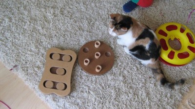 IMG_1673.jpg