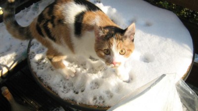 IMG_1665.jpg