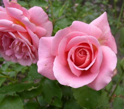 P10100250 (7)_01.jpg