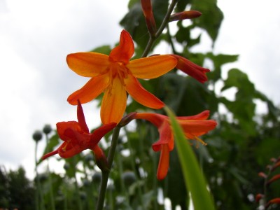 P10100250 (10)_01.jpg