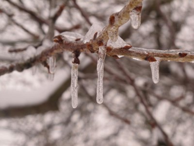 Eiszapfen.JPG