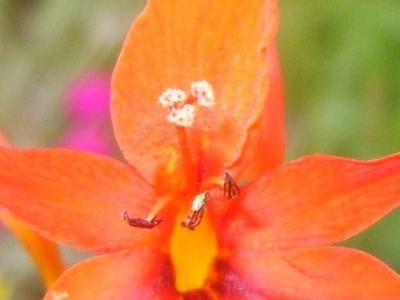 DSCI0034 - Kopie.JPG