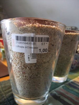 DSCF4958.JPG