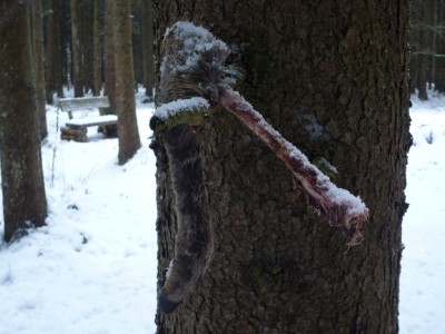 Winterdepression.JPG
