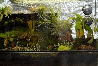 dsc_5471_Terrarium.jpg