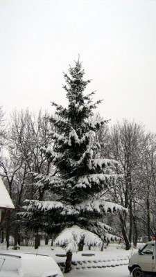 IMG_1601.JPG