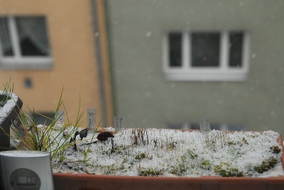 dsc_6105_Schneedecke.jpg