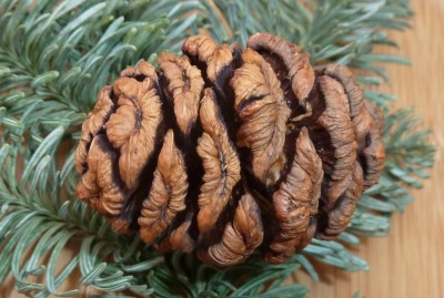 Kopie von P1000458.JPG