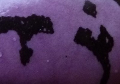 Kopie von P1000467.JPG