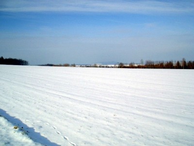 CIMG5879.JPG