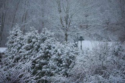 snow 006yy.jpg