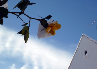P1020005.jpg