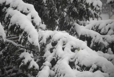 snow 016yy.jpg
