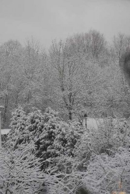 snow 009yy.jpg