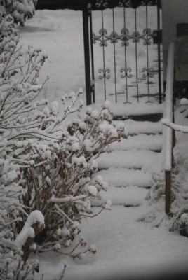 snow 007yy.jpg