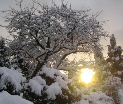 20101217_0001_1.JPG