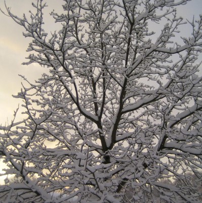 20101217_0001_5.JPG